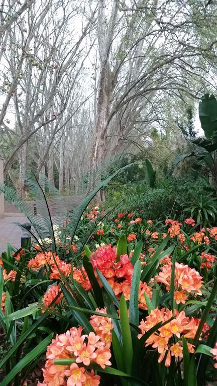 Babbling Brook Bed & Breakfast Pietermaritzburg Exterior photo