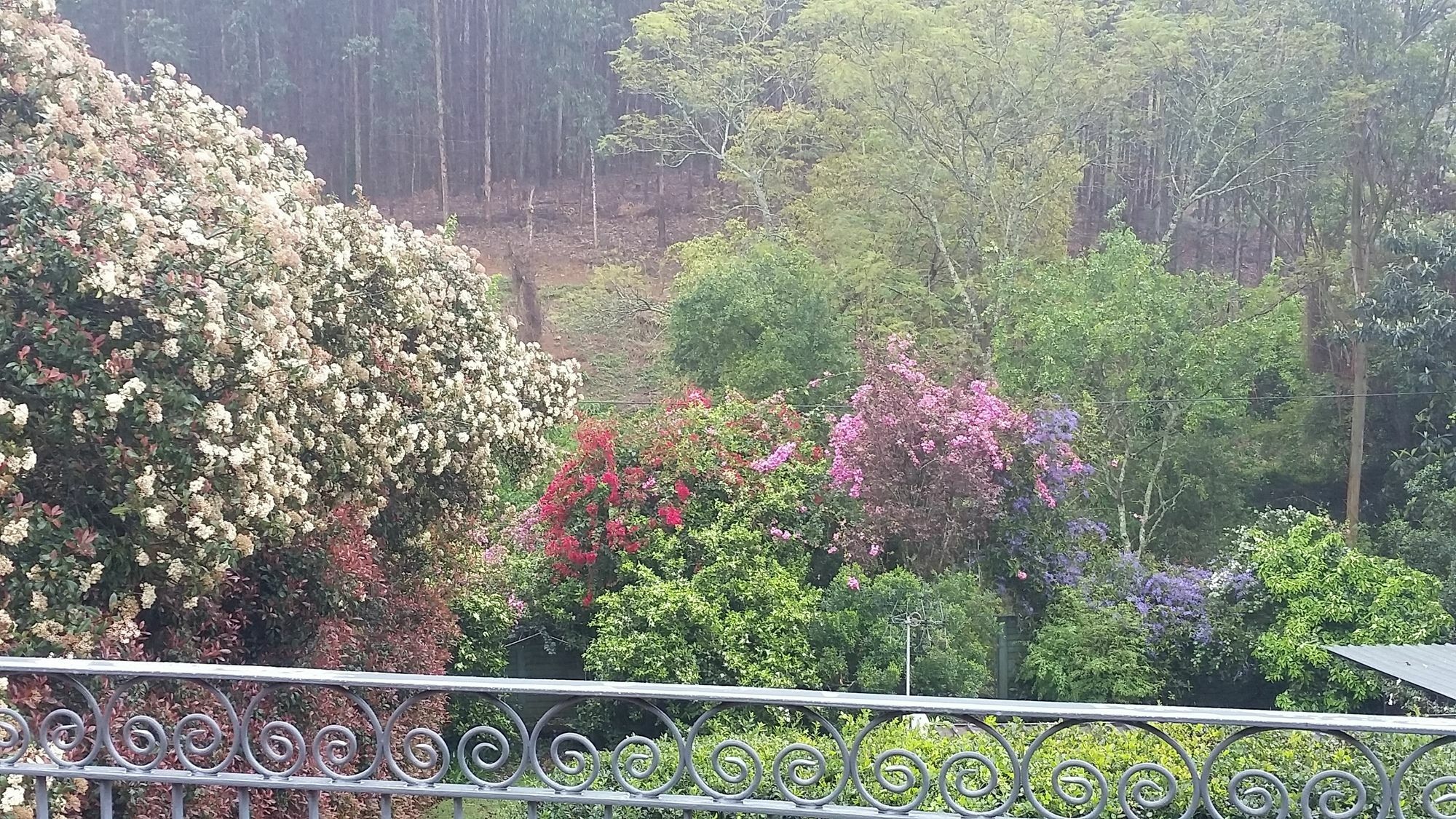 Babbling Brook Bed & Breakfast Pietermaritzburg Exterior photo